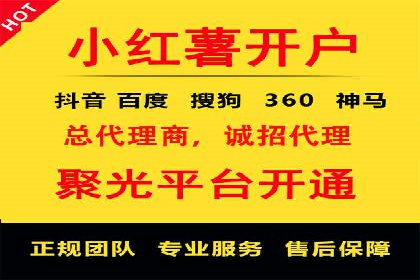 网络推广秘籍：竞价排名成功案例集锦